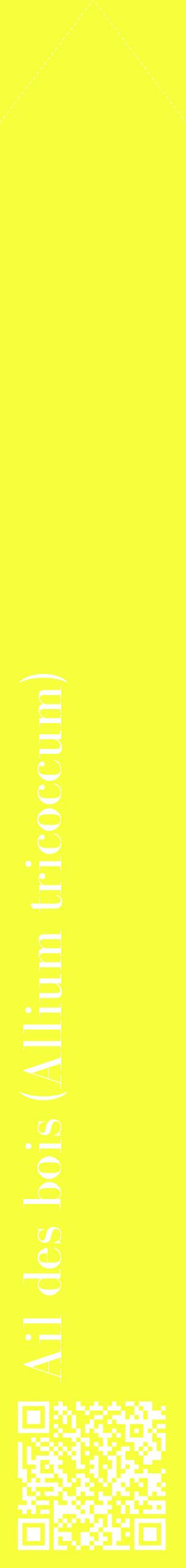 Étiquette de : Allium tricoccum - format c - style blanche18_simplebod avec qrcode et comestibilité