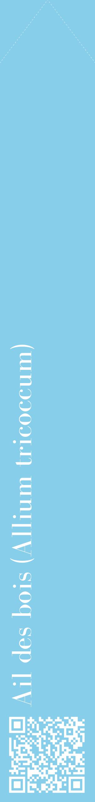 Étiquette de : Allium tricoccum - format c - style blanche1_simplebod avec qrcode et comestibilité