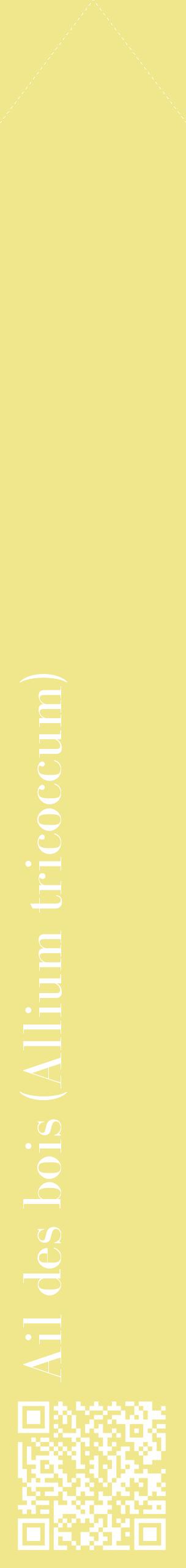 Étiquette de : Allium tricoccum - format c - style blanche20_simplebod avec qrcode et comestibilité