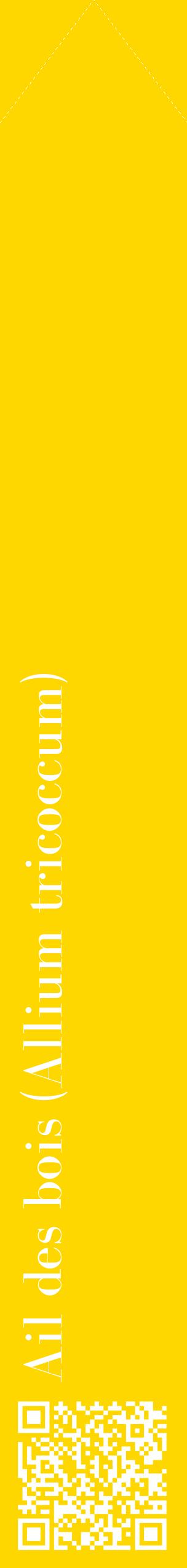 Étiquette de : Allium tricoccum - format c - style blanche21_simplebod avec qrcode et comestibilité