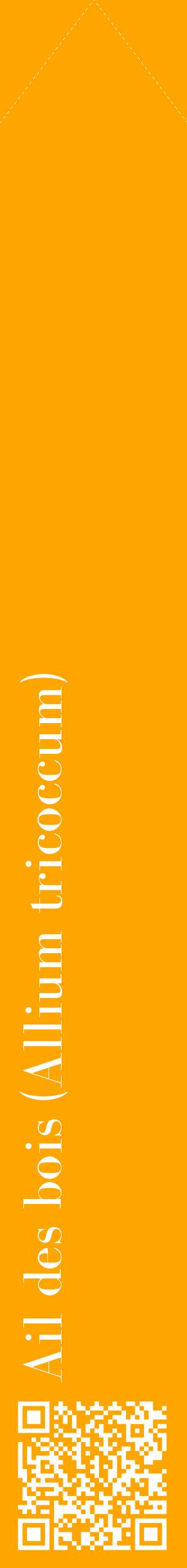 Étiquette de : Allium tricoccum - format c - style blanche22_simplebod avec qrcode et comestibilité
