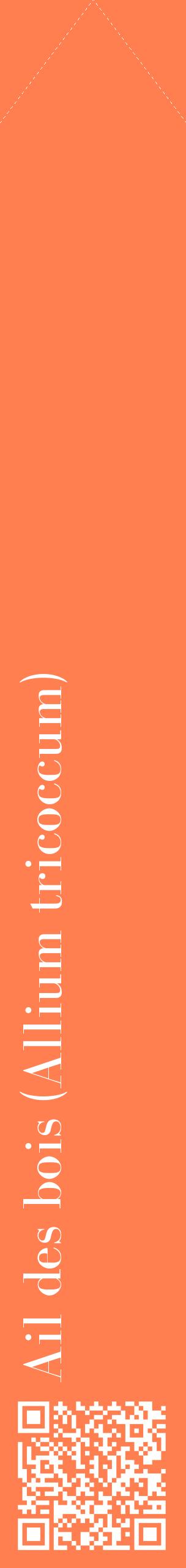 Étiquette de : Allium tricoccum - format c - style blanche24_simplebod avec qrcode et comestibilité