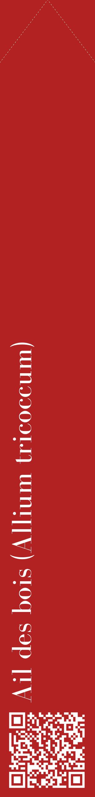 Étiquette de : Allium tricoccum - format c - style blanche28_simplebod avec qrcode et comestibilité
