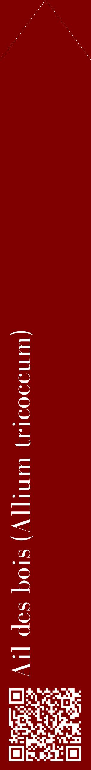 Étiquette de : Allium tricoccum - format c - style blanche29_simplebod avec qrcode et comestibilité