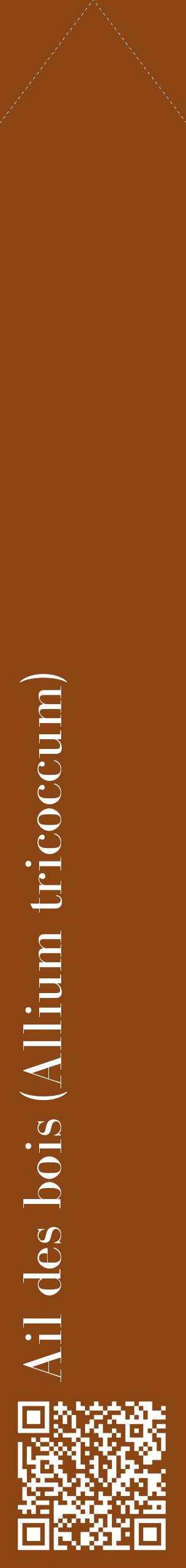 Étiquette de : Allium tricoccum - format c - style blanche30_simplebod avec qrcode et comestibilité