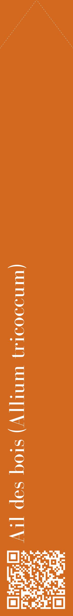 Étiquette de : Allium tricoccum - format c - style blanche31_simplebod avec qrcode et comestibilité