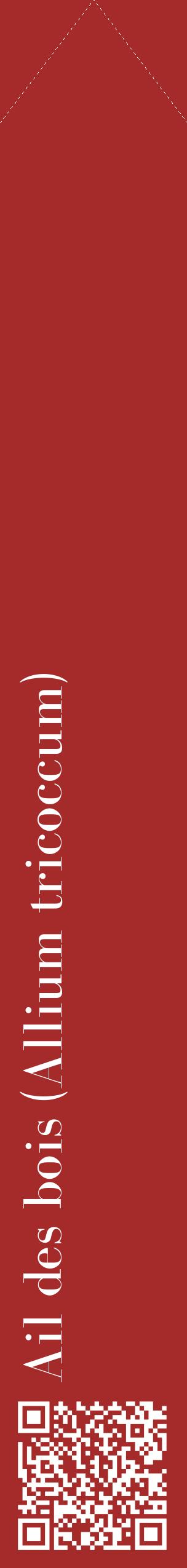 Étiquette de : Allium tricoccum - format c - style blanche33_simplebod avec qrcode et comestibilité