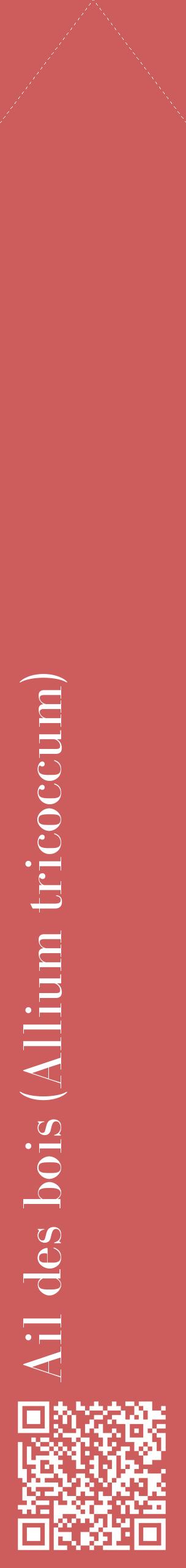 Étiquette de : Allium tricoccum - format c - style blanche35_simplebod avec qrcode et comestibilité