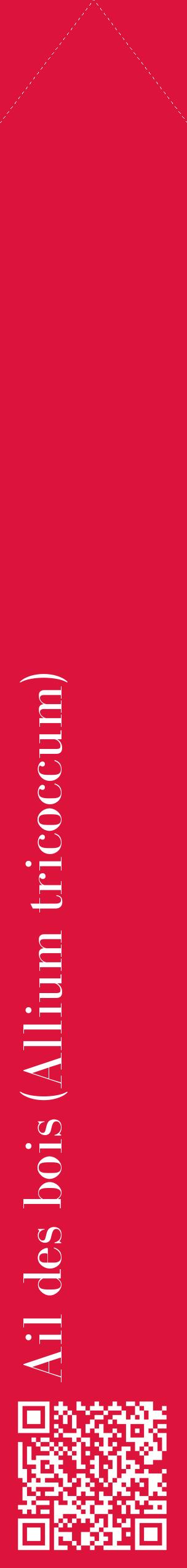 Étiquette de : Allium tricoccum - format c - style blanche36_simplebod avec qrcode et comestibilité