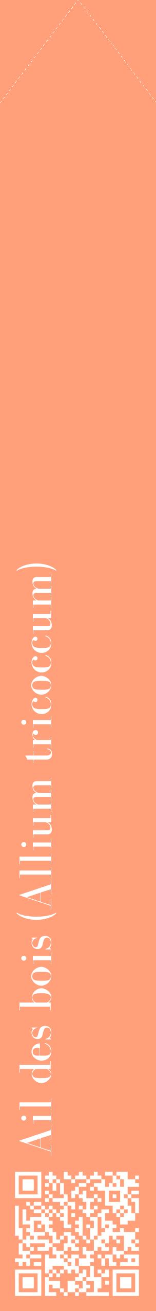 Étiquette de : Allium tricoccum - format c - style blanche39_simplebod avec qrcode et comestibilité