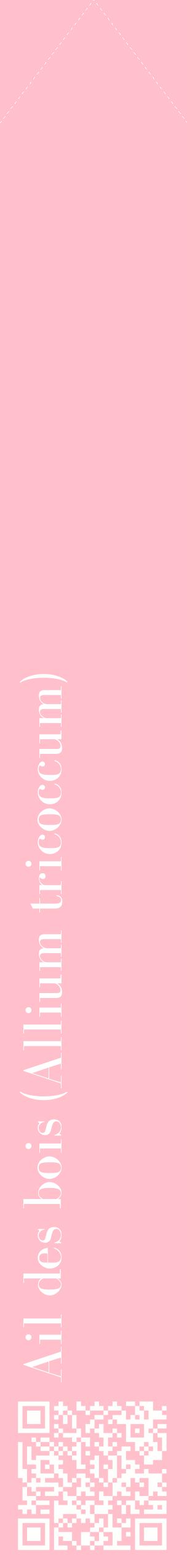 Étiquette de : Allium tricoccum - format c - style blanche40_simplebod avec qrcode et comestibilité