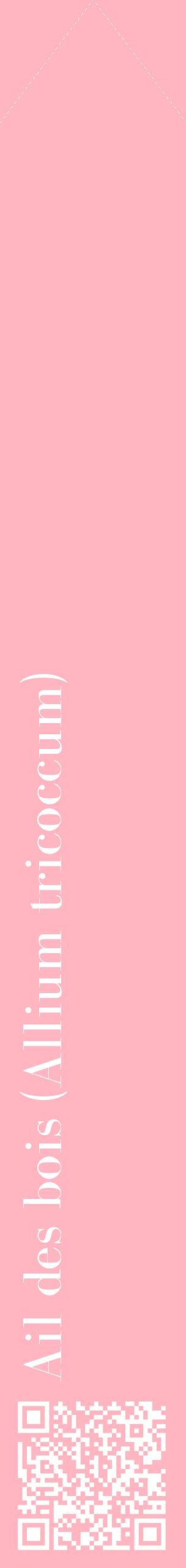 Étiquette de : Allium tricoccum - format c - style blanche41_simplebod avec qrcode et comestibilité