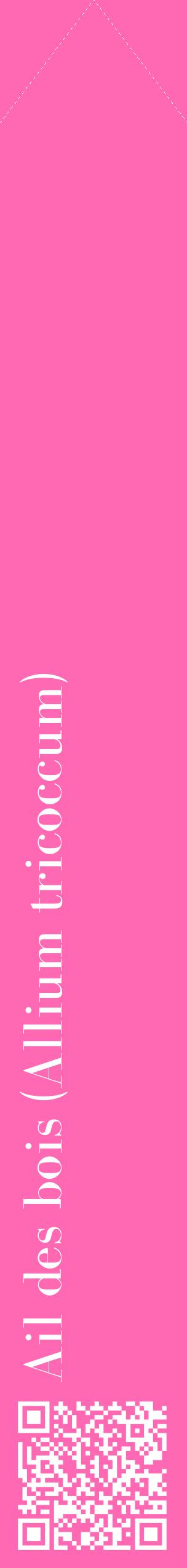 Étiquette de : Allium tricoccum - format c - style blanche42_simplebod avec qrcode et comestibilité
