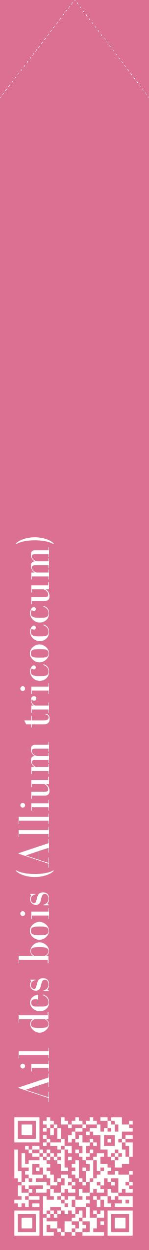 Étiquette de : Allium tricoccum - format c - style blanche44_simplebod avec qrcode et comestibilité