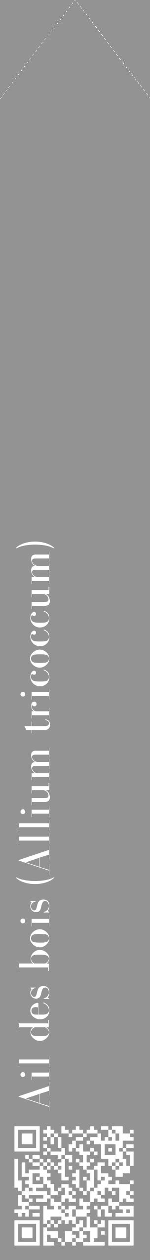 Étiquette de : Allium tricoccum - format c - style blanche44_simple_simplebod avec qrcode et comestibilité - position verticale