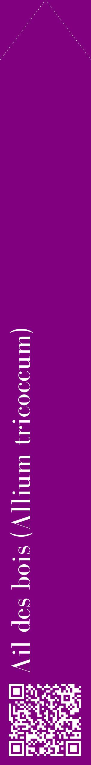 Étiquette de : Allium tricoccum - format c - style blanche46_simplebod avec qrcode et comestibilité