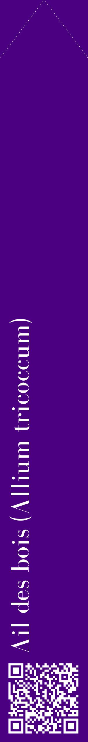 Étiquette de : Allium tricoccum - format c - style blanche47_simplebod avec qrcode et comestibilité