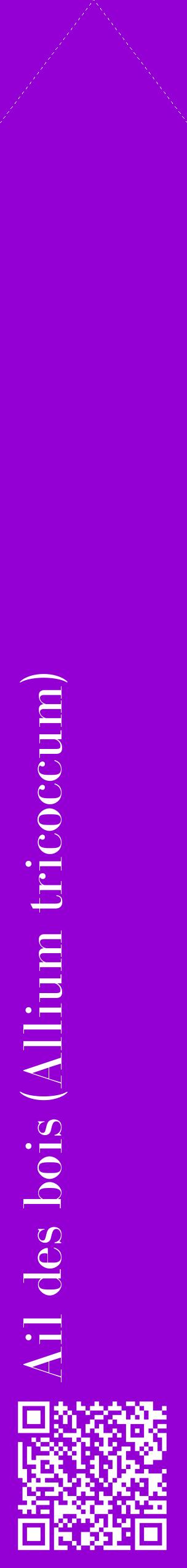 Étiquette de : Allium tricoccum - format c - style blanche48_simplebod avec qrcode et comestibilité