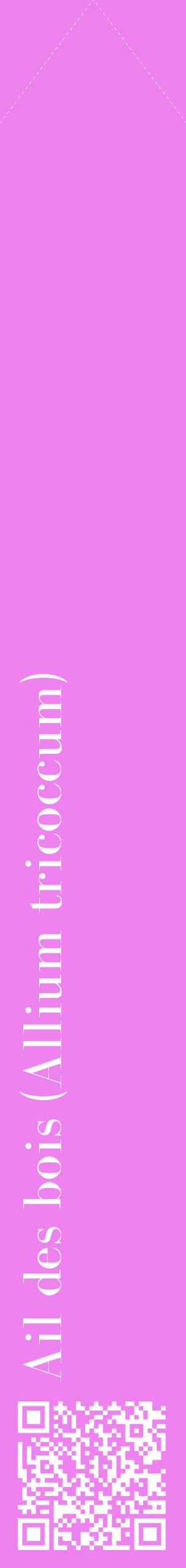 Étiquette de : Allium tricoccum - format c - style blanche53_simplebod avec qrcode et comestibilité