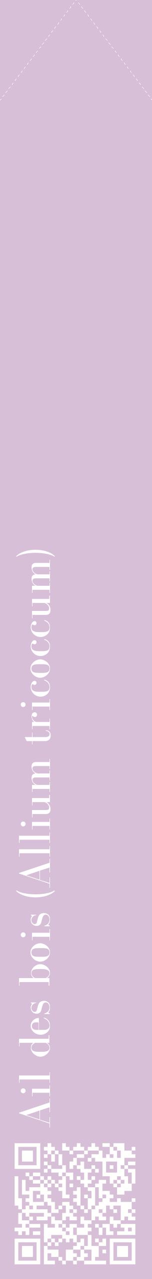 Étiquette de : Allium tricoccum - format c - style blanche54_simplebod avec qrcode et comestibilité