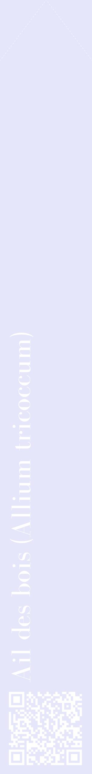 Étiquette de : Allium tricoccum - format c - style blanche55_simplebod avec qrcode et comestibilité