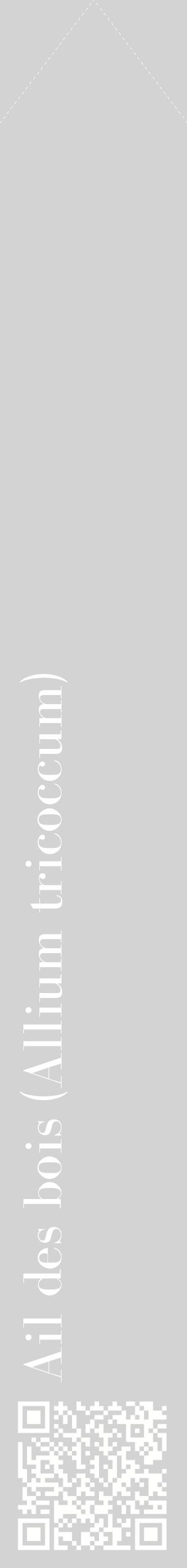 Étiquette de : Allium tricoccum - format c - style blanche56_simplebod avec qrcode et comestibilité