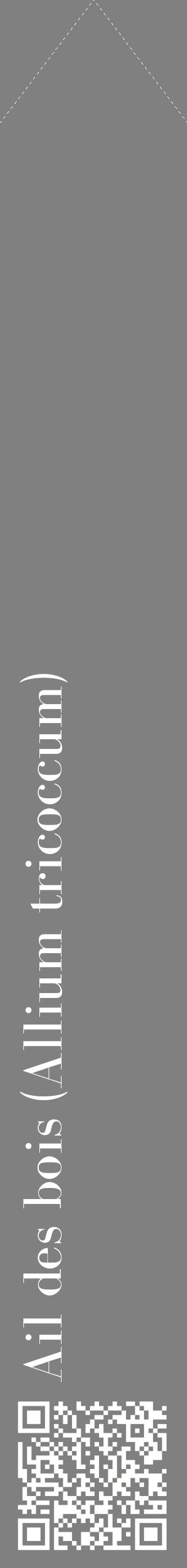 Étiquette de : Allium tricoccum - format c - style blanche57_simplebod avec qrcode et comestibilité