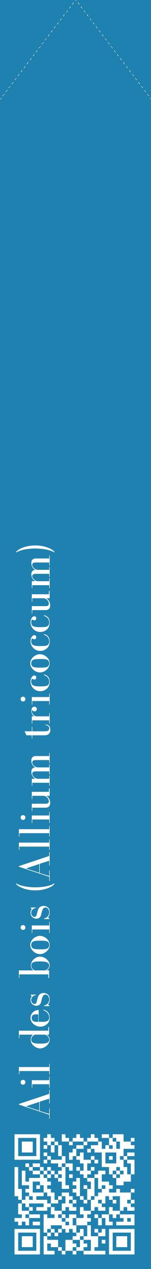 Étiquette de : Allium tricoccum - format c - style blanche6_simplebod avec qrcode et comestibilité