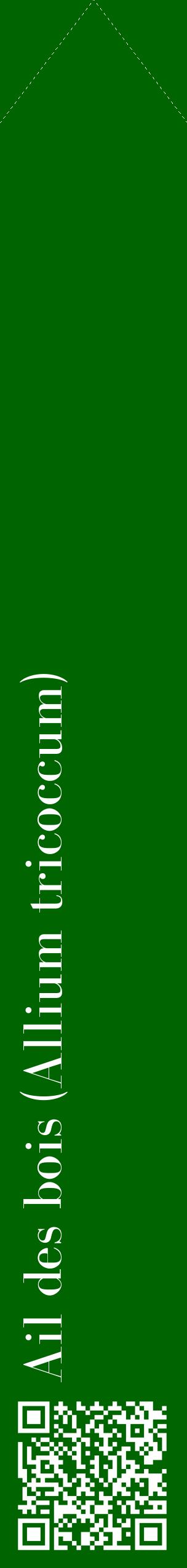 Étiquette de : Allium tricoccum - format c - style blanche8_simplebod avec qrcode et comestibilité
