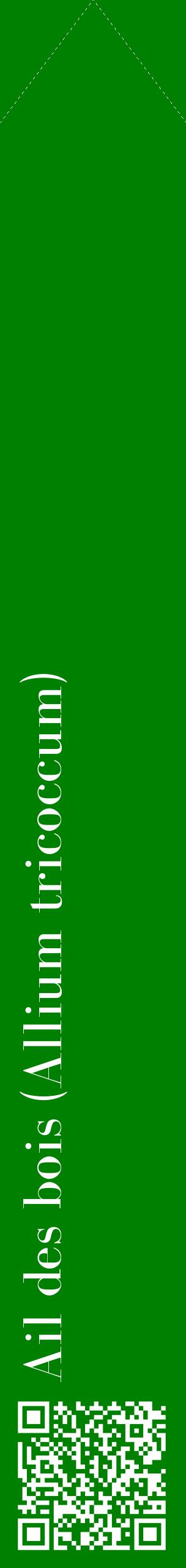 Étiquette de : Allium tricoccum - format c - style blanche9_simplebod avec qrcode et comestibilité