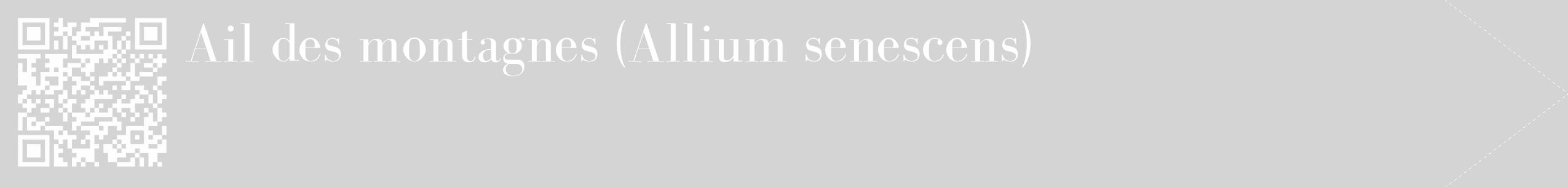 Étiquette de : Allium senescens - format c - style blanche40_simple_simplebod avec qrcode et comestibilité