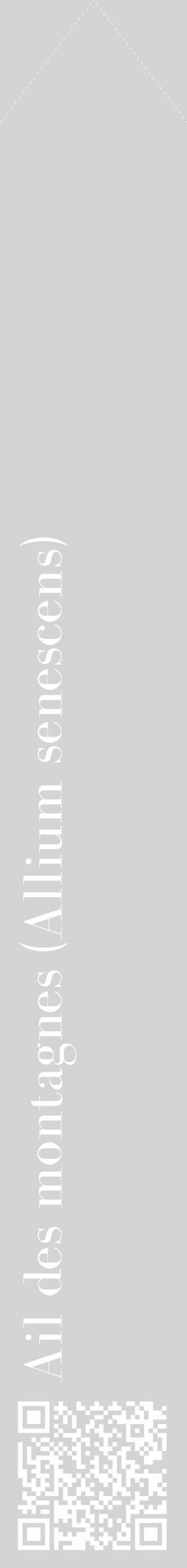 Étiquette de : Allium senescens - format c - style blanche40_simple_simplebod avec qrcode et comestibilité - position verticale