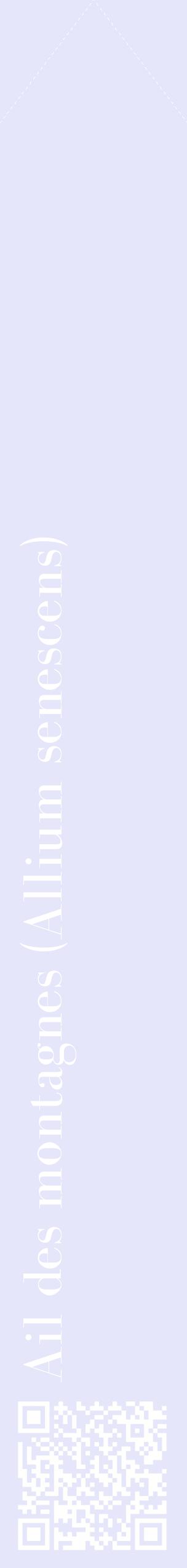 Étiquette de : Allium senescens - format c - style blanche55_simplebod avec qrcode et comestibilité