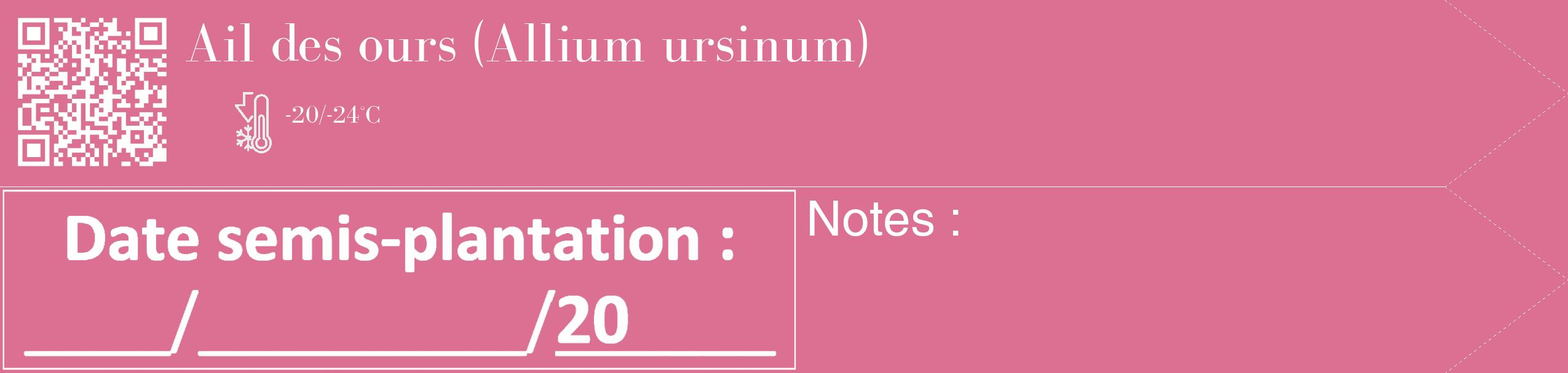 Étiquette de : Allium ursinum - format c - style blanche44_simple_simplebod avec qrcode et comestibilité