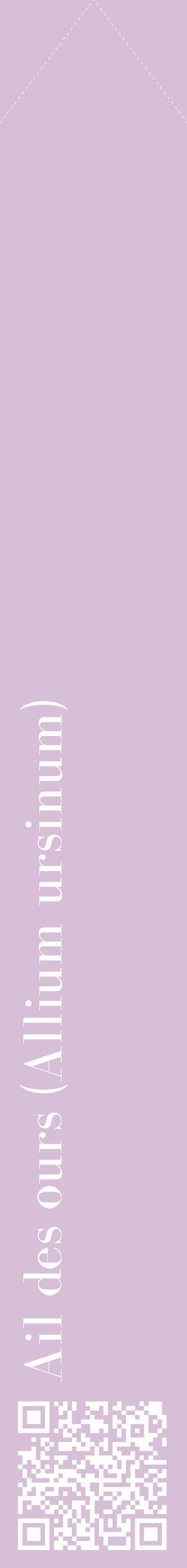 Étiquette de : Allium ursinum - format c - style blanche54_simplebod avec qrcode et comestibilité