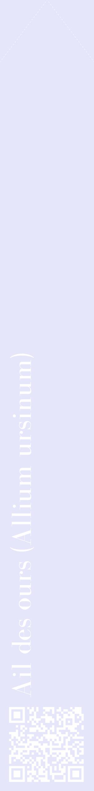 Étiquette de : Allium ursinum - format c - style blanche55_simplebod avec qrcode et comestibilité