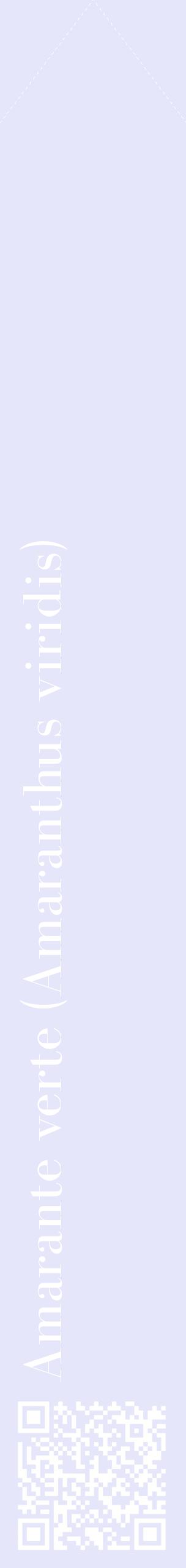 Étiquette de : Amaranthus viridis - format c - style blanche55_simplebod avec qrcode et comestibilité