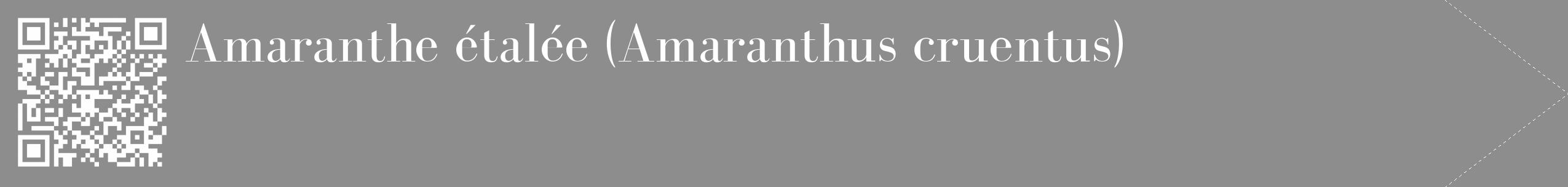 Étiquette de : Amaranthus cruentus - format c - style blanche2_simple_simplebod avec qrcode et comestibilité