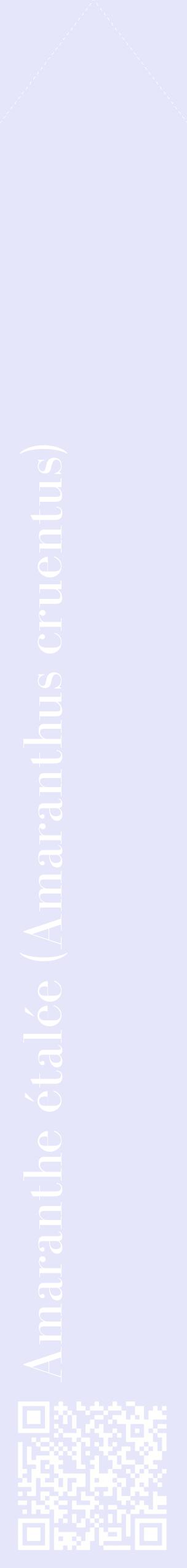 Étiquette de : Amaranthus cruentus - format c - style blanche55_simplebod avec qrcode et comestibilité