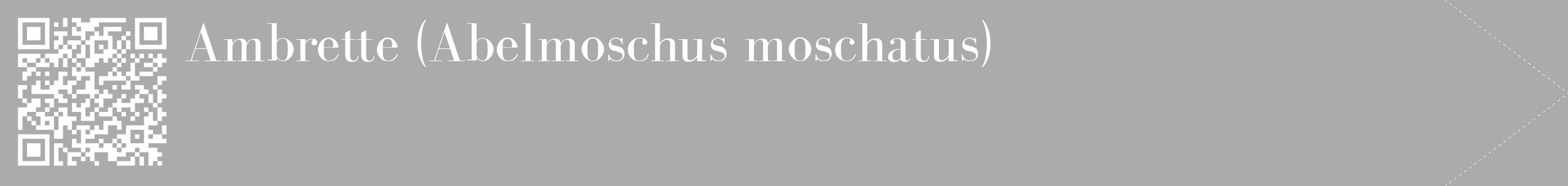 Étiquette de : Abelmoschus moschatus - format c - style blanche37_simple_simplebod avec qrcode et comestibilité