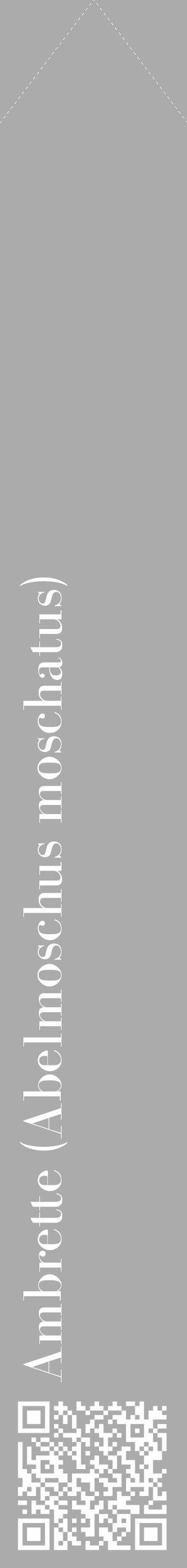 Étiquette de : Abelmoschus moschatus - format c - style blanche37_simple_simplebod avec qrcode et comestibilité - position verticale