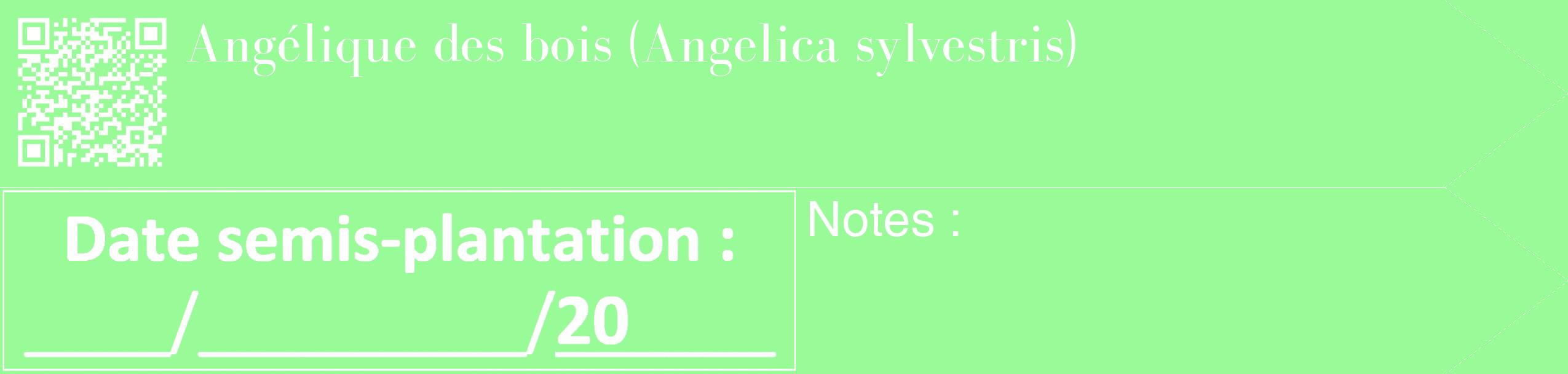 Étiquette de : Angelica sylvestris - format c - style blanche14_simple_simplebod avec qrcode et comestibilité