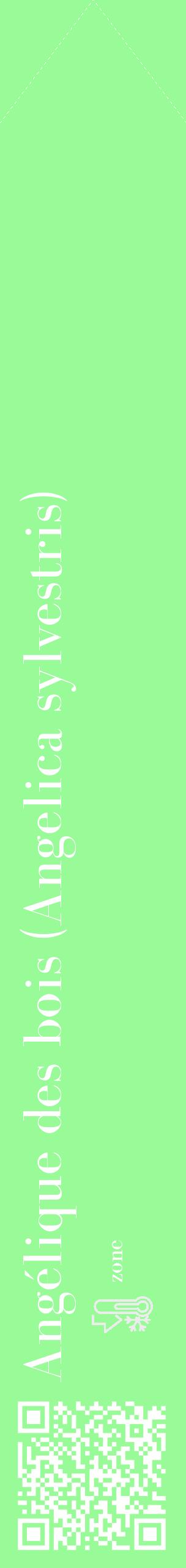 Étiquette de : Angelica sylvestris - format c - style blanche14_simple_simplebod avec qrcode et comestibilité - position verticale
