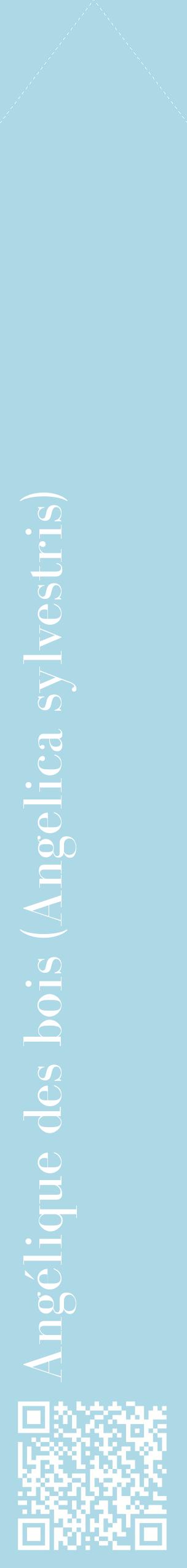 Étiquette de : Angelica sylvestris - format c - style blanche0_simplebod avec qrcode et comestibilité
