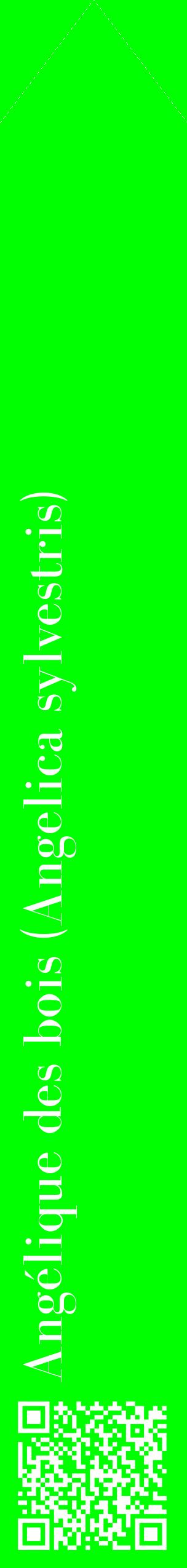 Étiquette de : Angelica sylvestris - format c - style blanche16_simplebod avec qrcode et comestibilité