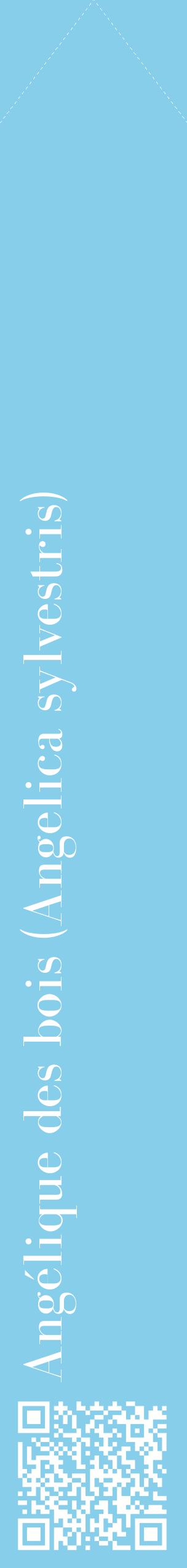 Étiquette de : Angelica sylvestris - format c - style blanche1_simplebod avec qrcode et comestibilité