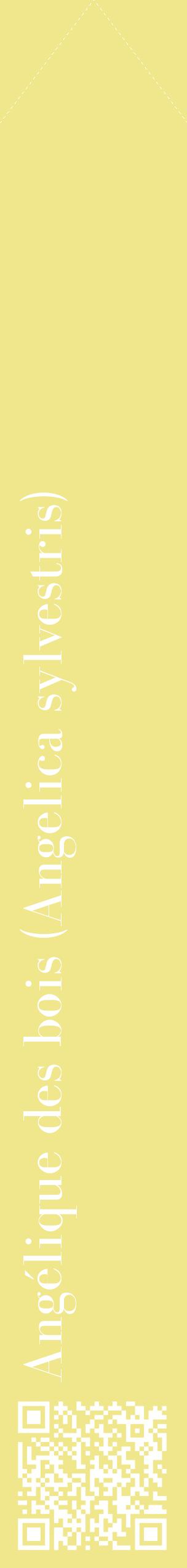 Étiquette de : Angelica sylvestris - format c - style blanche20_simplebod avec qrcode et comestibilité