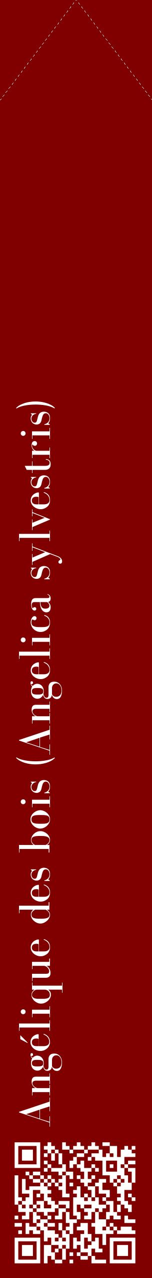 Étiquette de : Angelica sylvestris - format c - style blanche29_simplebod avec qrcode et comestibilité