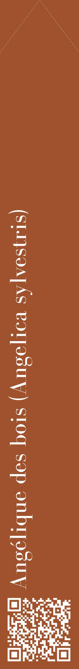Étiquette de : Angelica sylvestris - format c - style blanche32_simplebod avec qrcode et comestibilité