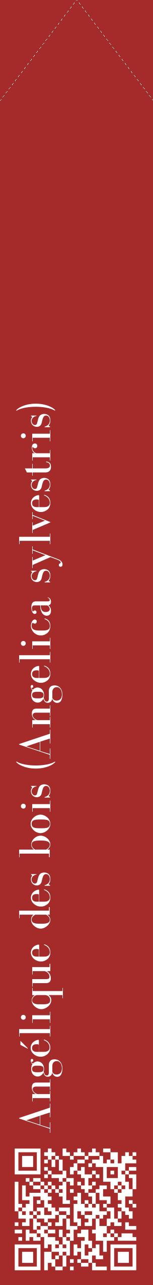 Étiquette de : Angelica sylvestris - format c - style blanche33_simplebod avec qrcode et comestibilité